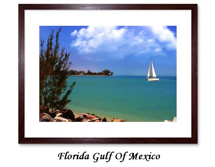Florida Gulf Of Mexico
